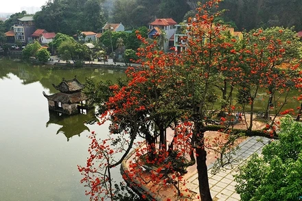 Vẻ đẹp chùa Thầy trong những ngày xuân.