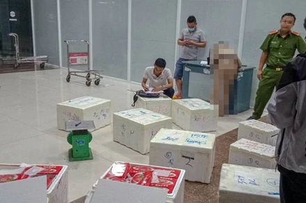 Lô hàng dâu tây không rõ nguồn gốc vừa phát hiện tại Cảng hàng không Liên Khương.