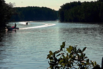 Vỏ Composite là phương tiện di chuyển phổ biến miệt sông nước Cà Mau.