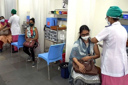 Người dân Ấn Độ được tiêm vaccine ngừa Covid-19. (Ảnh: ANI)