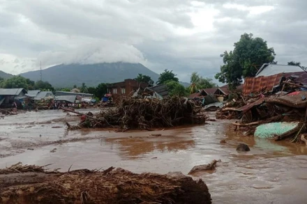 Khung cảnh hoang tàn tại Đông Flores, Đông Nusa Tenggara, Indonesia, ngày 4-4. (Ảnh: Antara)