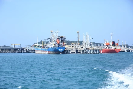 Năm 2020, BSR đã vượt qua tác động kép một cách thành công, với những kết quả rất khả quan.