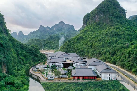 Cần tạo các sản phẩm du lịch đa dạng phù hợp theo từng phân khúc khách hàng nội địa. 