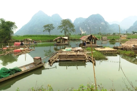 Nông dân huyện Bá Thước nuôi cá lồng trên vùng ngập nước thủy điện.