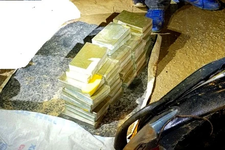 Tang vật chuyên án 221C. 