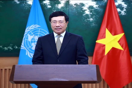 Phó Thủ tướng Phạm Bình Minh.