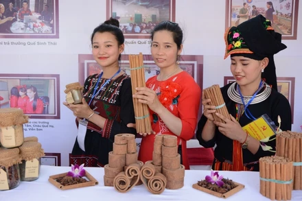 Giới thiệu sản phẩm quế xuất khẩu.