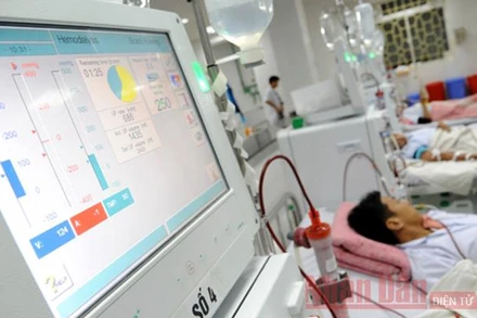 Ảnh minh họa: Trần Hải.