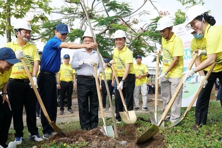 Đại diện Lãnh đạo Tổng Công ty điện lực miền Nam và lãnh đạo địa phương trồng cây xanh tại thị xã Ngã Năm.
