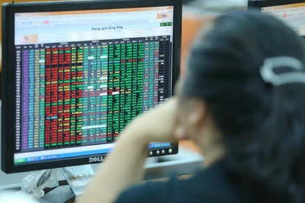 (Ảnh minh họa: vietnamplus.vn)