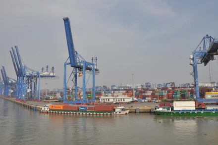 Hoạt động xuất khẩu đang ảnh hưởng lớn bởi sự thiếu hụt container.