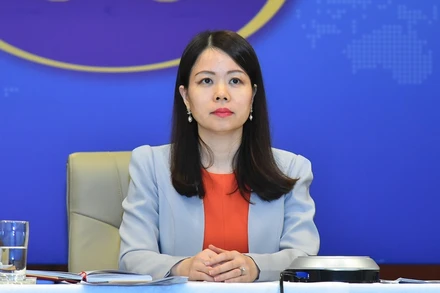 Trợ lý Bộ trưởng, Vụ trưởng Vụ Tổng hợp Kinh tế, Bộ Ngoại giao Nguyễn Minh Hằng tham dự cuộc họp.