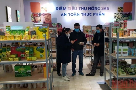 Điểm tiêu thụ nông sản an toàn thực phẩm để phục vụ người dân Thủ đô trong dịp cuối năm.