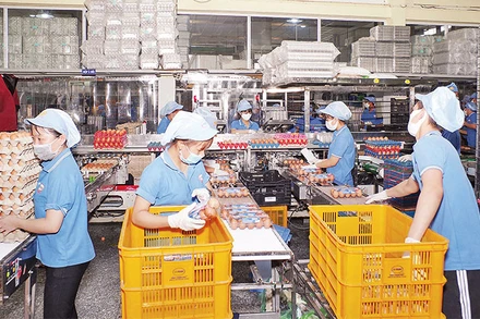 Sản xuất tại Công ty cổ phần thực phẩm Vĩnh Thành Đạt (Ảnh minh họa: Phương Vy).