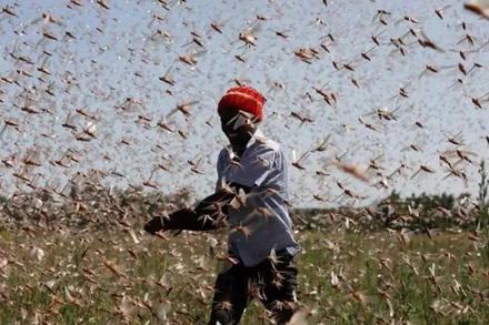 Năm 2021 tiếp tục là 1 năm đầy biến động đối với Trái đất khi mà các vụ hỏa hoạn, lũ lụt, núi lửa phun trào và những cơn bão chết người tàn phá môi trường tự nhiên. (Ảnh: Reuters)