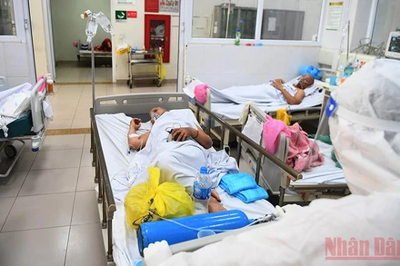 Vận chuyển bệnh nhân vào khu điều trị. (Ảnh: THÀNH ĐẠT)