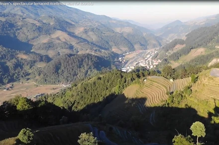 Hình ảnh ruộng bậc thang Mù Cang Chải trong đoạn phim (clip) của hãng AFP. (Ảnh chụp từ clip)