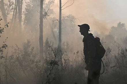 Biến đổi khí hậu đang làm gia tăng tần suất và cường độ các vụ cháy rừng trên thế giới. (Ảnh: Reuters)