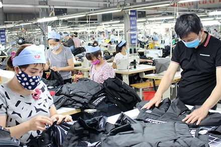 Công nhân Công ty may Tiên Sơn, thị xã Bỉm Sơn (Thanh Hóa) may áo xuất khẩu.