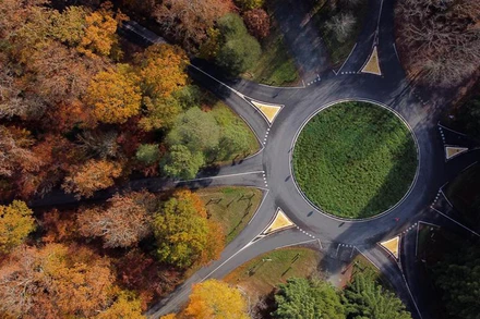 Thảm lá vàng trong rừng Gavre tại Le Gavre, gần Nantes, Pháp, ngày 18/11. (Ảnh: Reuters)