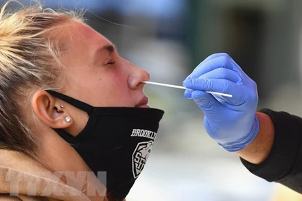 Ảnh minh họa. (Nguồn: TTXVN)