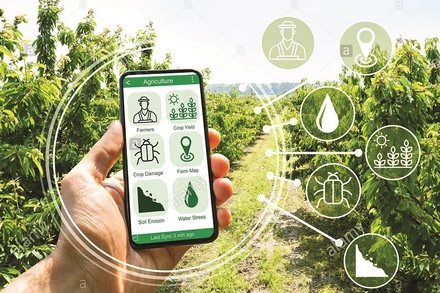 Thúc đẩy chuyển đổi số ngành nông nghiệp sẽ góp phần nâng cao năng suất, hiệu quả của ngành và bảo đảm phát triển bền vững. (Ảnh minh họa)