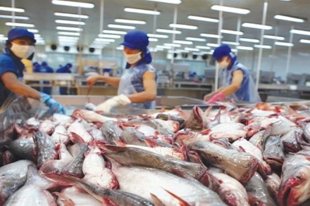 Năm 2021, không có lô hàng bị cảnh báo chỉ tiêu hóa chất, kháng sinh bởi các thị trường nhập khẩu có yêu cầu kiểm tra, chứng nhận bởi Cục Quản lý Chất lượng nông lâm sản và thủy sản trước khi xuất khẩu. 