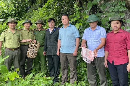 Thả động vật hoang dã vào rừng nhằm bảo tồn đa dạng sinh học của Khu dự trữ thiên nhiên.