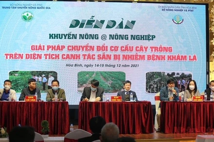 Các chuyên gia ngành nông nghiệp tại diễn đàn.