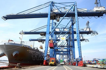 Bốc xếp hàng hóa tại cảng Cát Lái, TP Hồ Chí Minh. Ảnh: TTXVN