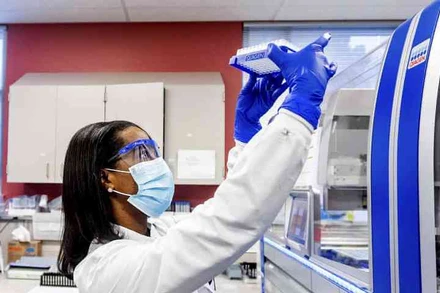 Một nhà khoa học quan sát các mẫu xét nghiệm lấy từ người nghi mắc Covid-19. (Ảnh: AP)