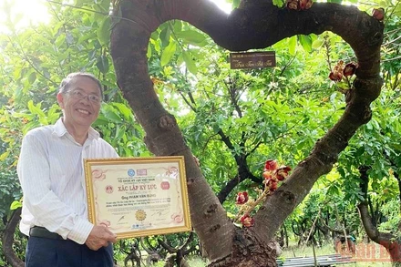 Ông Phạm Văn Đúng cùng bằng xác lập kỷ lục có số lượng cây nhiều nhất được tạo dáng với các dáng thế theo triết lý nhà Phật được Tổ chức kỷ lục Việt Nam trao tặng vào tháng 11/2021.