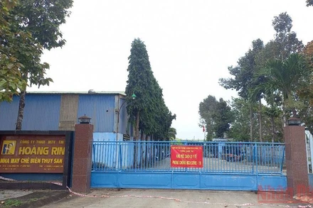 Đến thời điểm này, ổ dịch Covid-19 tại Công ty Hoàng Rin (Khu công nghiệp Quảng Phú) đã ghi nhận hàng trăm ca F0. 