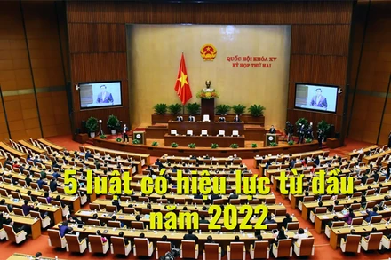 5 luật có hiệu lực từ đầu năm 2022