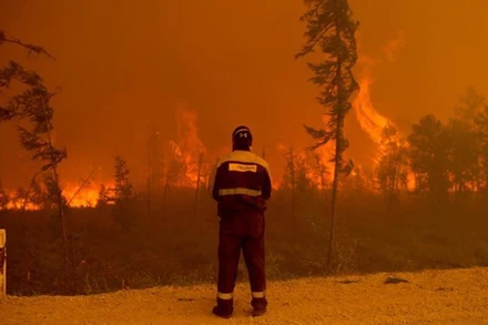 Một đám cháy rừng ở Siberia. (Nguồn: TTXVN/AP)