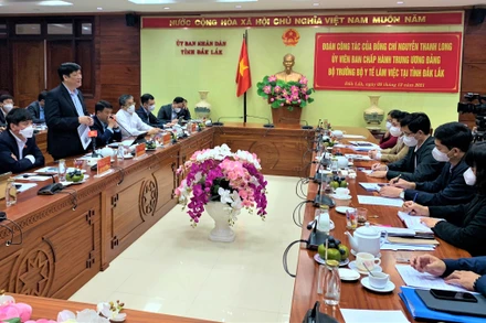 Bộ trưởng Y tế Nguyễn Thanh Long phát biểu tại buổi làm việc.