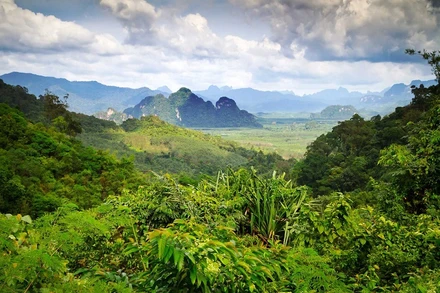 Việc khởi động sáng kiến Thập kỷ Liên hợp quốc đã mở ra một phong trào toàn cầu nhằm phục hồi Trái đất.