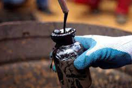 Ảnh minh họa. Ảnh: Reuters