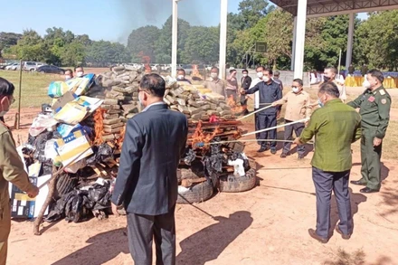 Lực lượng chức năng Lào tiêu hủy ma túy. (Ảnh: Pasaxon)
