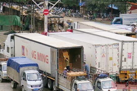 Bốc xếp hàng hóa chuyển qua cửa khẩu Cốc Nam. (ảnh HÙNG TRÁNG)