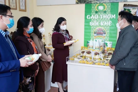 Các đại biểu tham quan Điểm giới thiệu, bán sản phẩm OCOP tại huyện Thanh Oai (Hà Nội). 