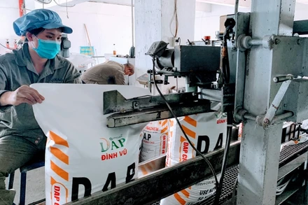 Các dây chuyền đóng gói phân bón DAP đang tấp nập là thế, giờ cũng phải ngừng hoạt động do thiếu quặng. 
