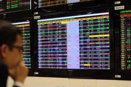 (Ảnh minhh họa: TTXVN)