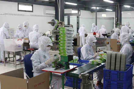 Cơ sở bánh dừa nướng TOPCOCO tăng cường sản xuất.