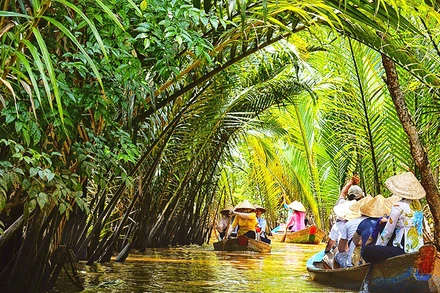 Thăm rừng ngập mặn ở Khu du lịch sinh thái Cù Llo Thới Sơn (Ảnh: ST)