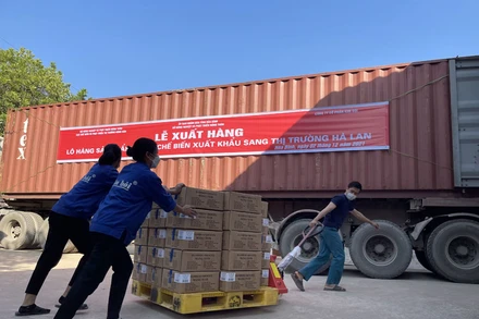 Công nhân của Công ty cổ phần Kim Bôi vận chuyển sản phẩm măng chế biến lên container để xuất khẩu sang Hà Lan.