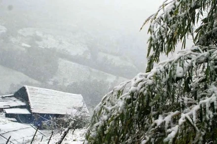 Từ ngày 26-28/12, Bắc Bộ và Bắc Trung Bộ rét đậm, vùng núi rét hại; nhiệt độ thấp nhất ở Bắc Bộ phổ biến 10-13 độ C, vùng núi có nơi từ 4-7 độ C, vùng núi cao có nơi xấp xỉ 0 độ C. (Ảnh minh họa)