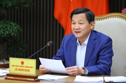 Phó Thủ tướng Lê Minh Khái phát biểu tại buổi làm việc. 