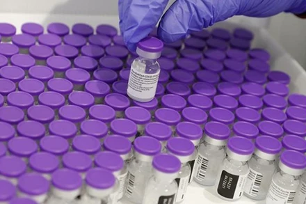 Vaccine ngừa Covid-19 của Pfizer/BioNTech. (Ảnh: AFP/TTXVN)