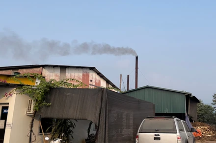 Công ty Cổ phần Chế biến và Xuất nhập khẩu gỗ Việt Ý vẫn hoạt động bất chấp yêu cầu của Sở Tài nguyên và Môi trường tỉnh Tuyên Quang.